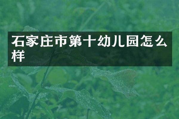 石家庄市第十幼儿园怎么样