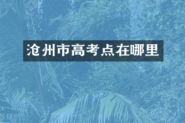 沧州市高考点在哪里