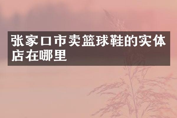 张家口市卖篮球鞋的实体店在哪里