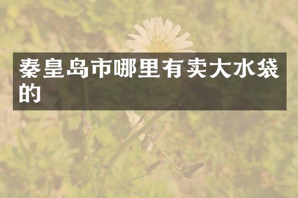 秦皇岛市哪里有卖大水袋的