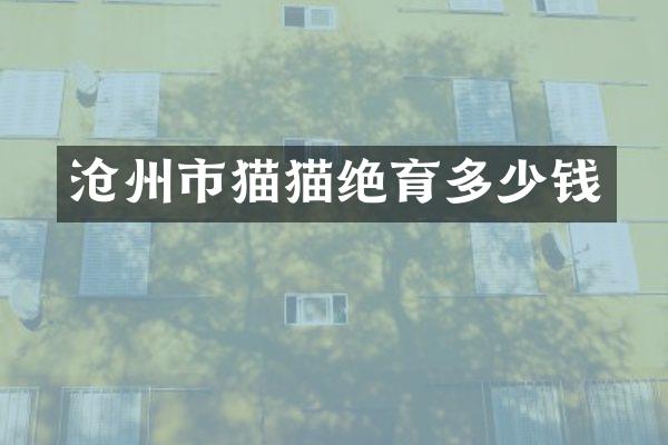沧州市猫猫绝育多少钱