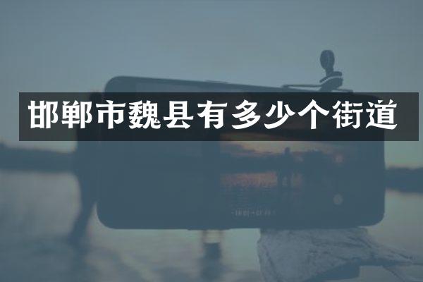 邯郸市魏县有多少个街道