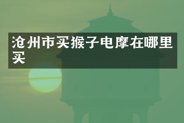 沧州市买猴子电摩在哪里买