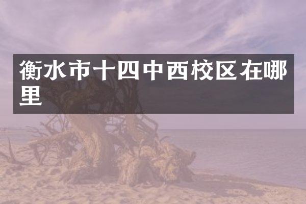 衡水市十四中西校区在哪里
