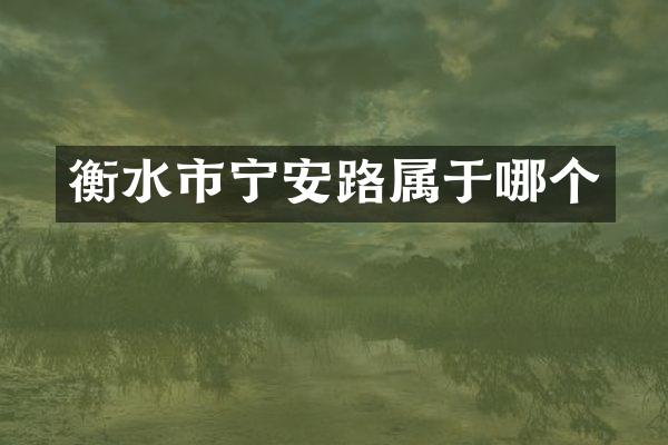衡水市宁安路属于哪个