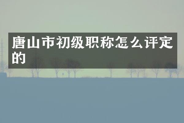 唐山市初级职称怎么评定的
