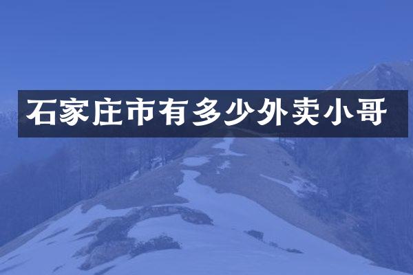 石家庄市有多少外卖小哥