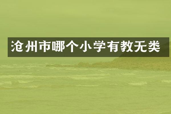 沧州市哪个小学有教无类