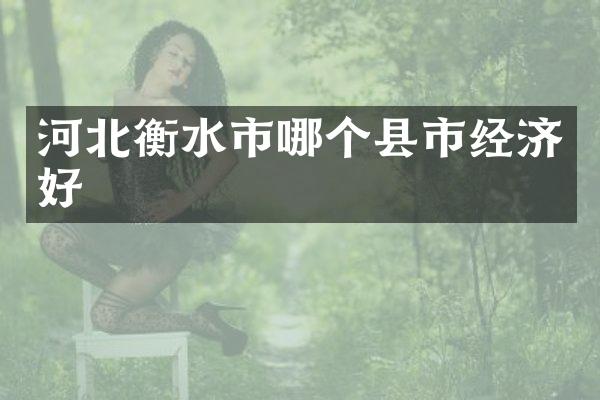 河北衡水市哪个县市经济好