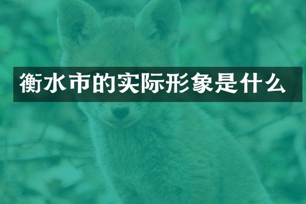 衡水市的实际形象是什么