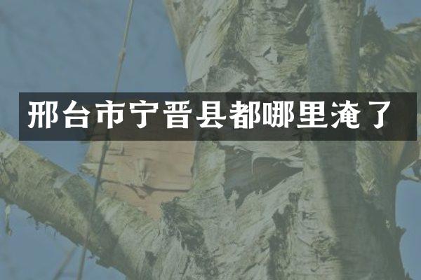 邢台市宁晋县都哪里淹了