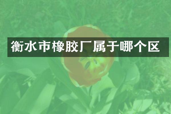 衡水市橡胶厂属于哪个区