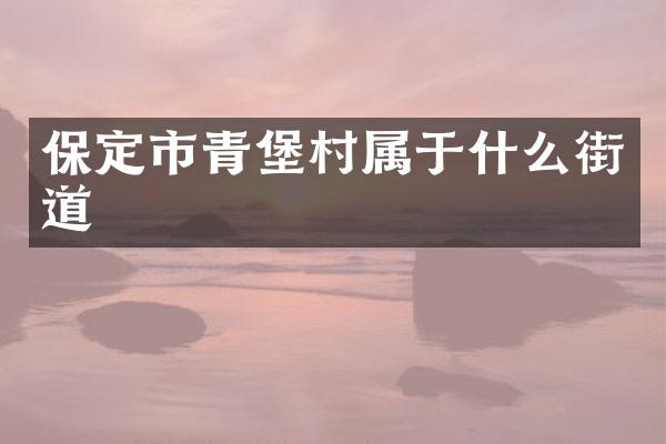 保定市青堡村属于什么街道