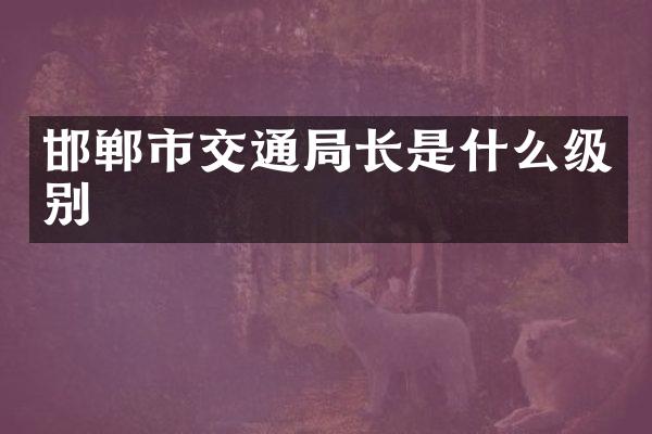 邯郸市交通局长是什么级别