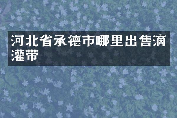 河北省承德市哪里出售滴灌带