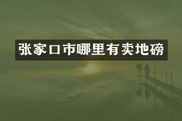 张家口市哪里有卖地磅