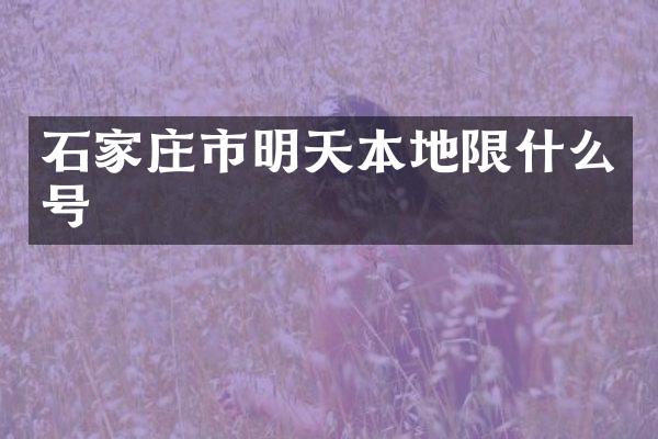 石家庄市明天本地限什么号
