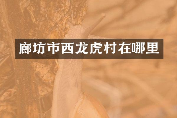 廊坊市西龙虎村在哪里