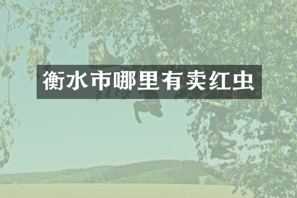 衡水市哪里有卖红虫