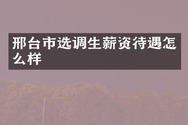 邢台市选调生薪资待遇怎么样