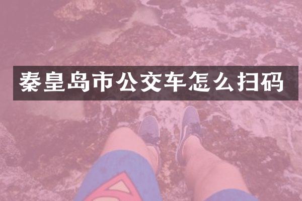 秦皇岛市公交车怎么扫码
