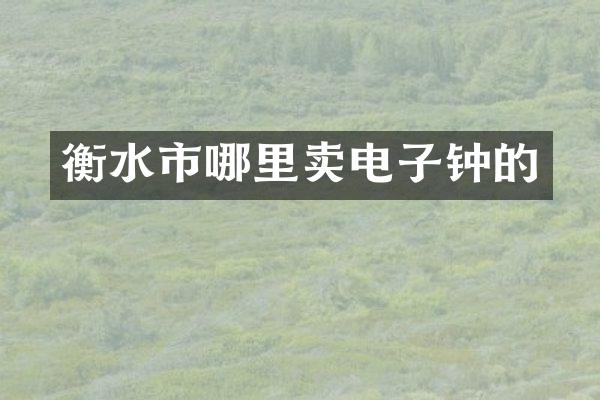 衡水市哪里卖电子钟的