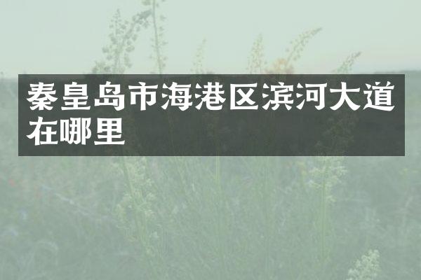 秦皇岛市海港区滨河大道在哪里