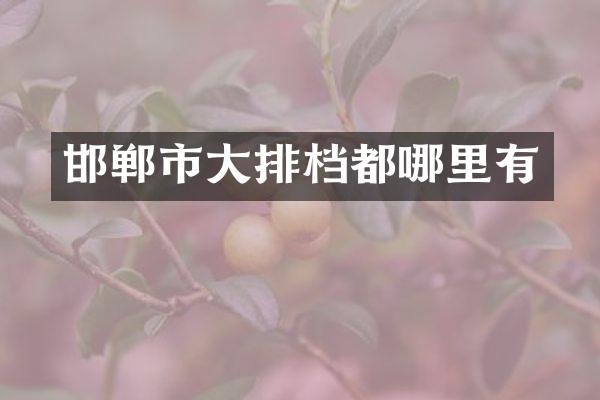 邯郸市大排档都哪里有