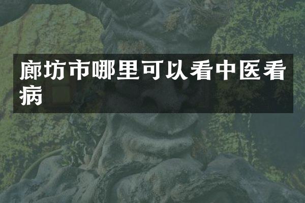 廊坊市哪里可以看中医看病