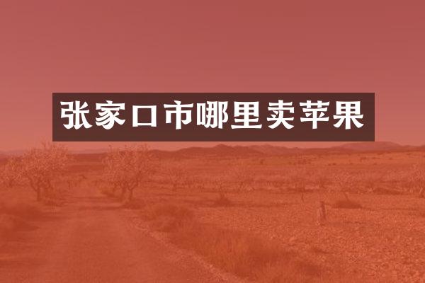 张家口市哪里卖苹果