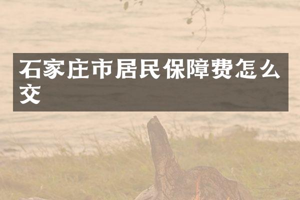 石家庄市居民保障费怎么交