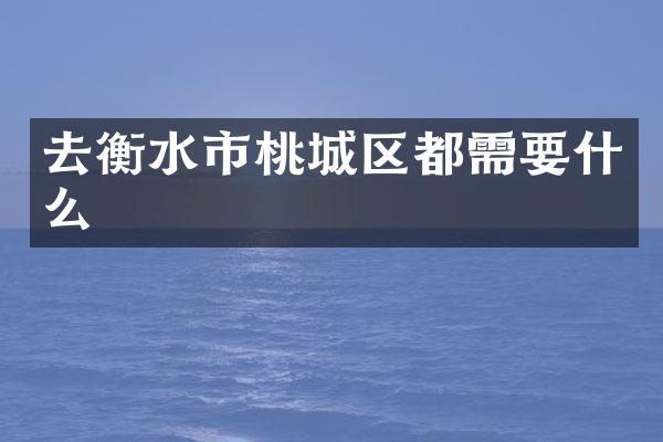 去衡水市桃城区都需要什么