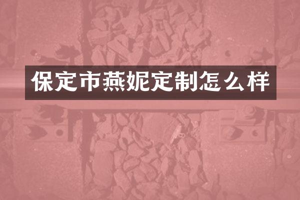保定市燕妮定制怎么样