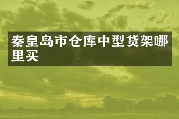秦皇岛市仓库中型货架哪里买