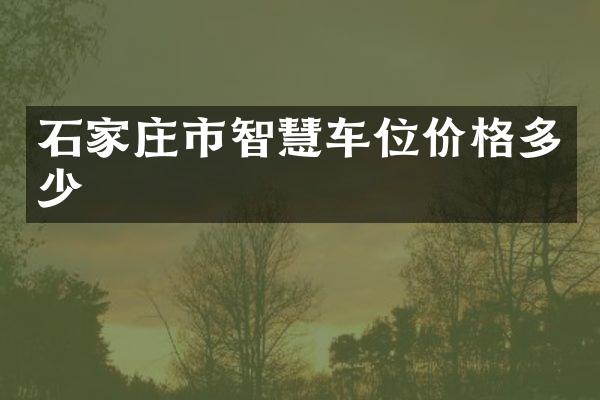 石家庄市智慧车位价格多少