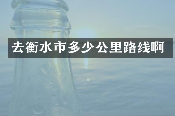 去衡水市多少公里路线啊