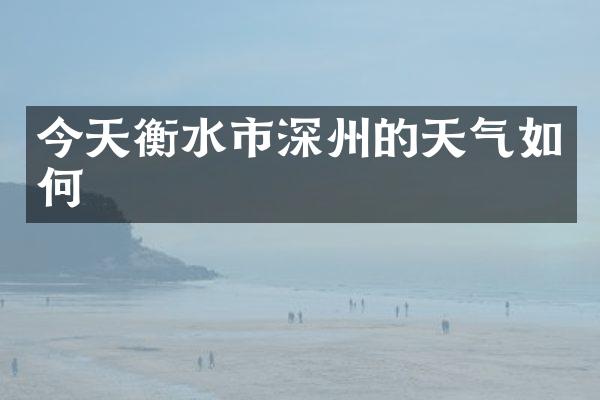 今天衡水市深州的天气如何
