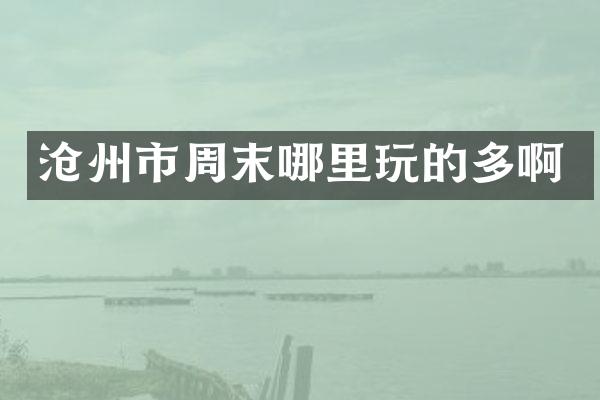 沧州市周末哪里玩的多啊