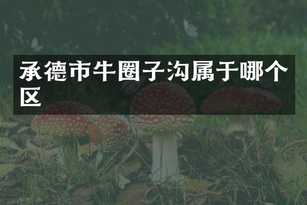 承德市牛圈子沟属于哪个区
