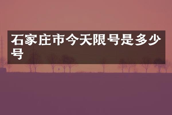 石家庄市今天限号是多少号