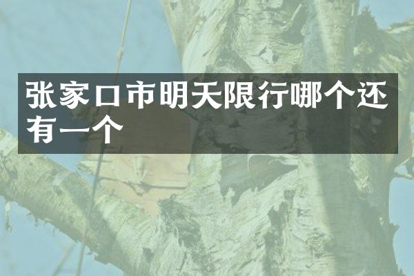 张家口市明天限行哪个还有一个