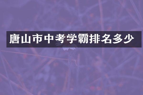 唐山市中考学霸排名多少