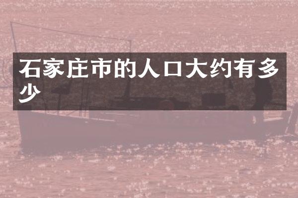 石家庄市的人口大约有多少