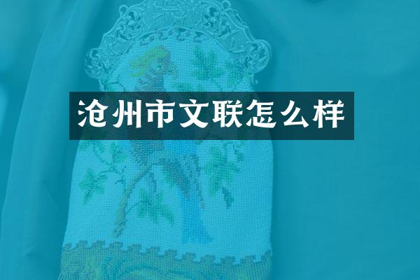 沧州市文联怎么样