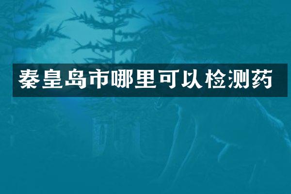 秦皇岛市哪里可以检测药