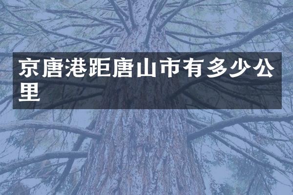 京唐港距唐山市有多少公里