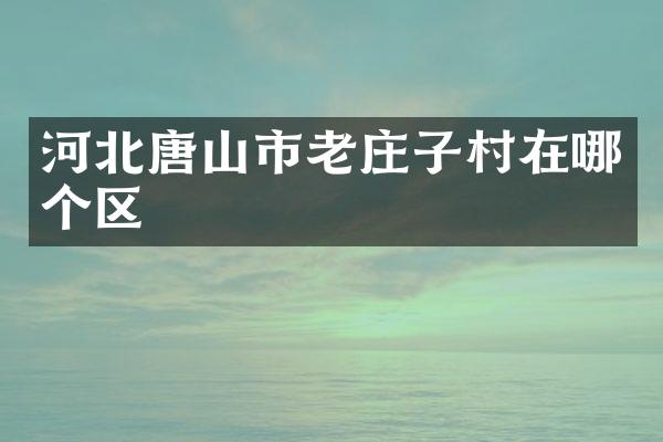 河北唐山市老庄子村在哪个区