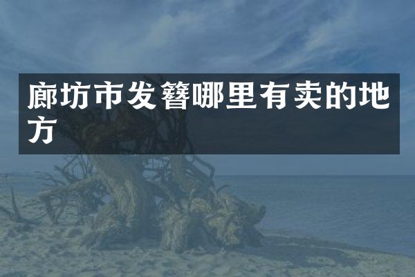 廊坊市发簪哪里有卖的地方