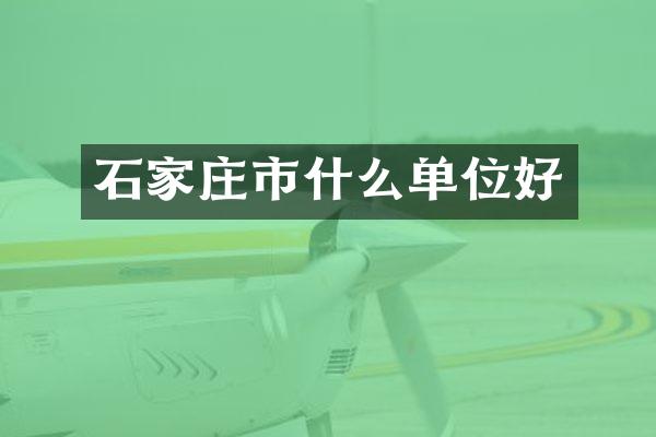 石家庄市什么单位好