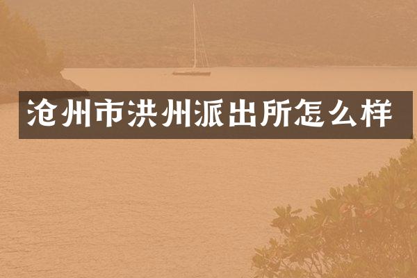 沧州市洪州派出所怎么样
